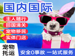 巴彦淖尔空运代理国际宠物托运 【国